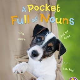 A Pocket Full of Nouns